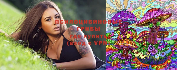 трава Алзамай
