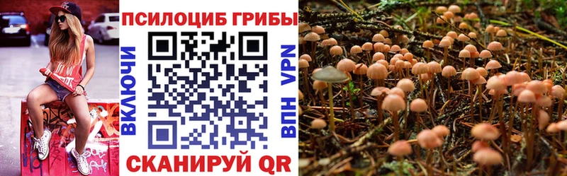 Галлюциногенные грибы ЛСД Ковров