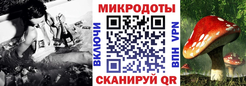 Псилоцибиновые грибы мицелий  закладка  Ковров 